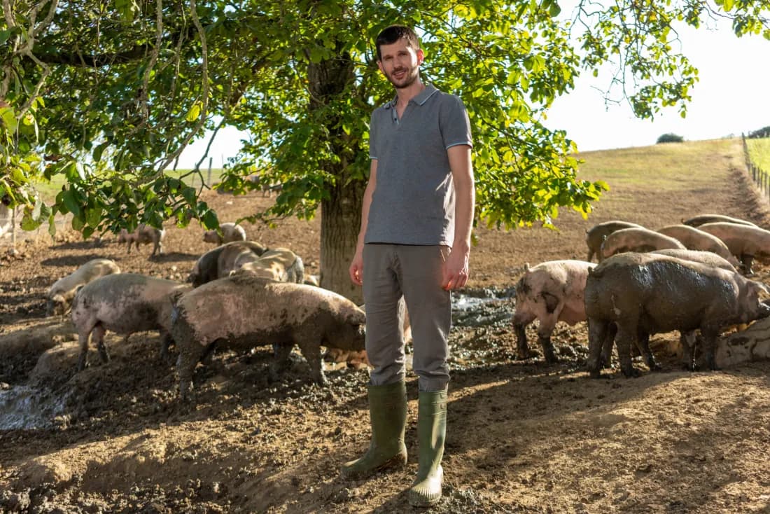 Pâturage de la Ferme Ainty dans la vallée d'Orhi, Pays Basque